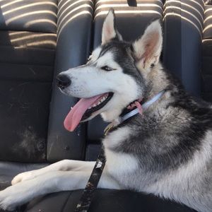 Meet your Posher, Mario